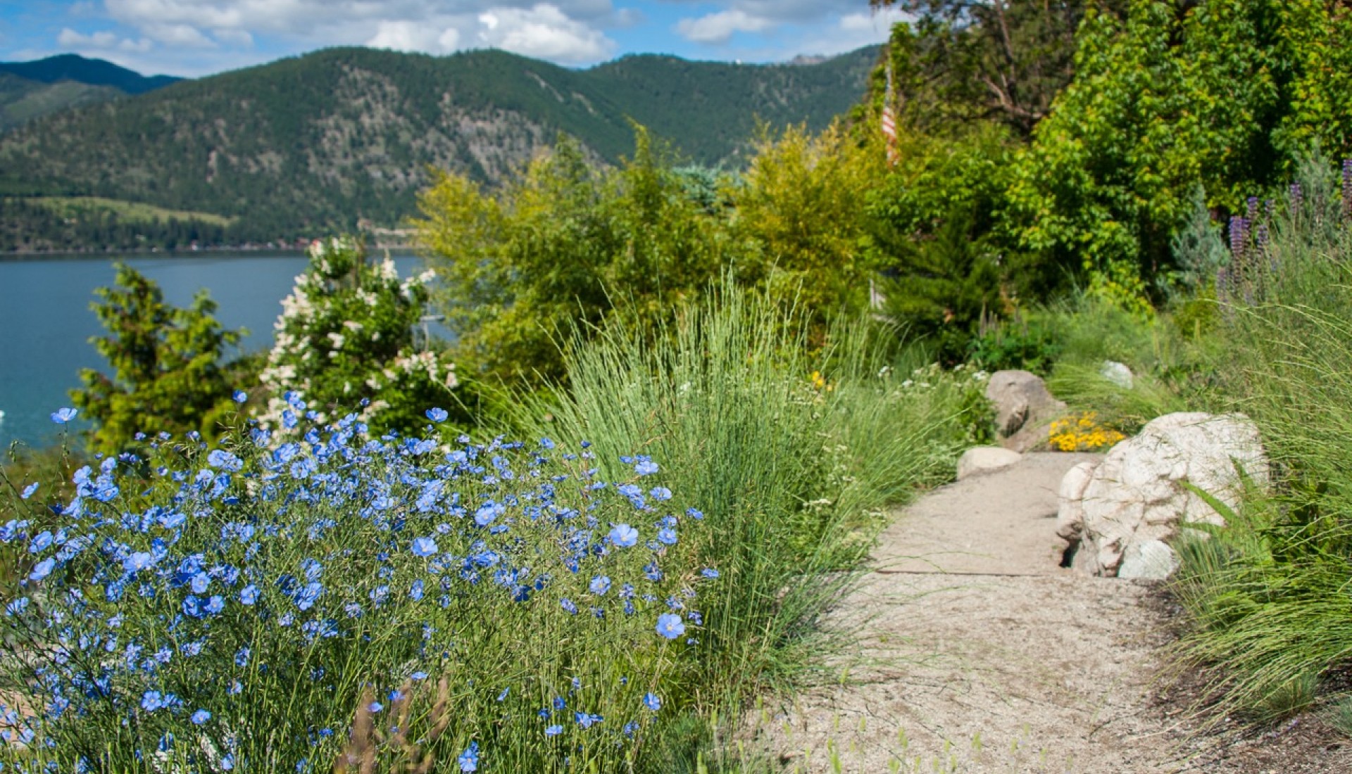 Native Landscaping Lake Chelan