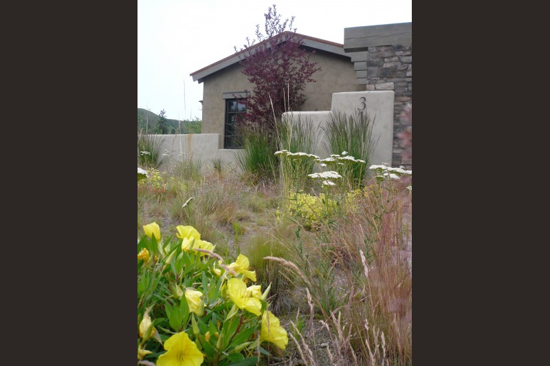 Native Landscaping Wenatchee, Leavenworth, Chelan