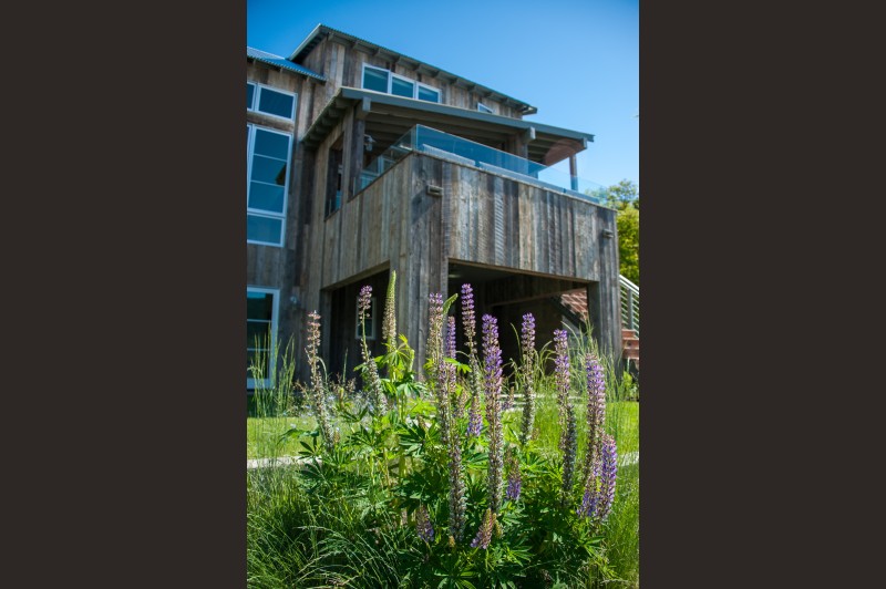 Hillside landscaping