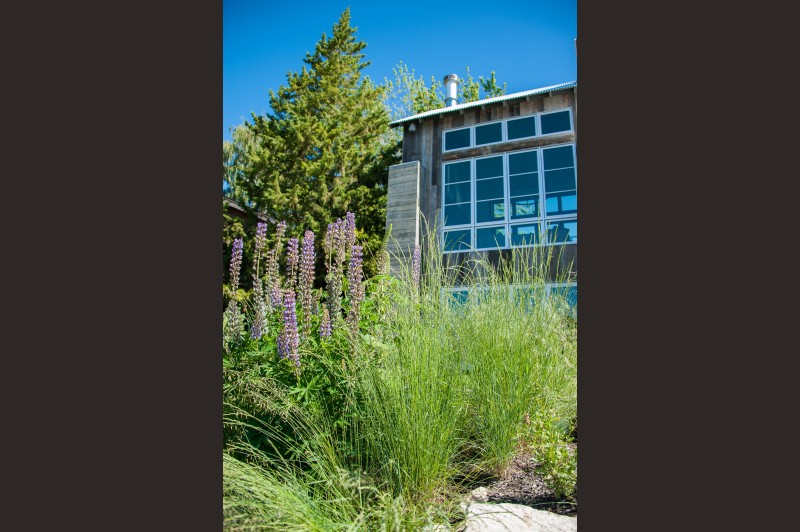 Native landscaping Wenatchee, Leavenworth, Chelan