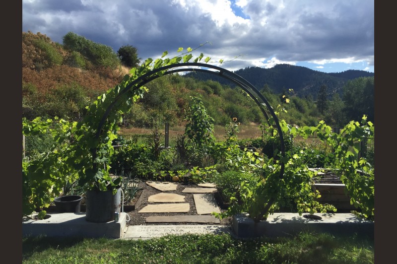 Custom vegetable garden. Raised beds.