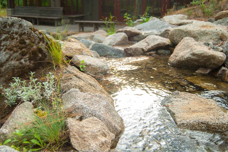 Water Features. Pond and stream.