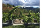 Custom vegetable garden. Raised beds.