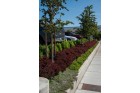 wenatchee leavenworth landscape design